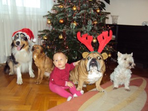 Všichni, kdo u nás lezou po čtyřech-Berry, Sesu, Ema, Monty, Bes