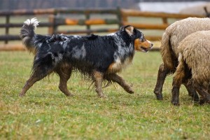 Paseme za každého počasí - foto Dan Jelen