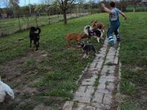 Na oslavě Berryho narozenin