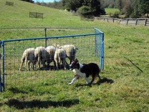 Berryho nevlastní brácha:-)